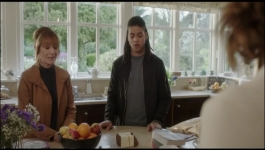 Harry Wild - Season 03 Episode 05